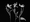 Науменко Виктория, "Tulipa I", из серии "Even Dying Still Beautiful"