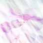 Елена Морозова, "21", from the serias "Floral"