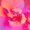 Елена Морозова, "23", from the serias "Floral"